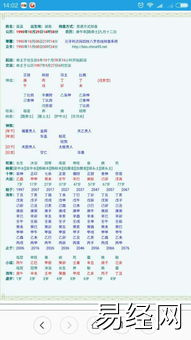九龙道长八字排盘软件