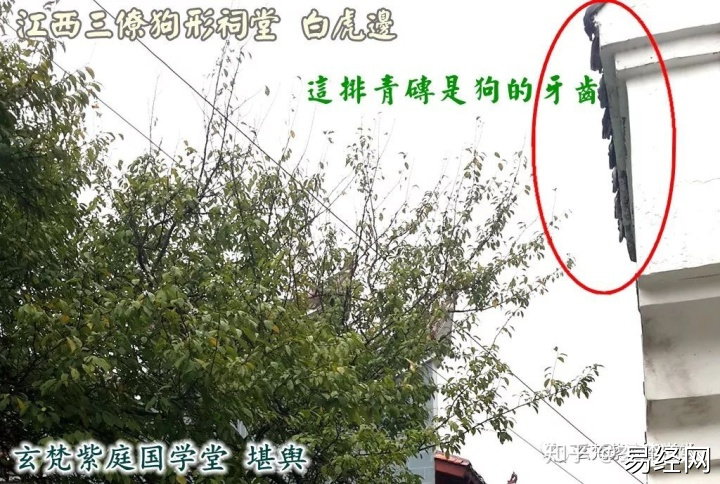 广西名人祖坟风水_名人祖坟风水图片_玉林名人祖坟风水