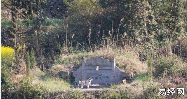 农村真实坟地风水事件_坟地风水学_坟地的风水