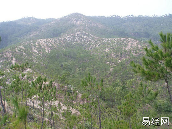 坟地风水学_坟地的风水_农村真实坟地风水事件