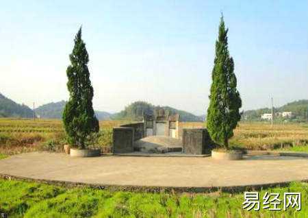坟墓旁边种什么树比较好 第2张