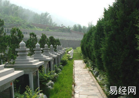 门前栽什么树风水好吗_好坟地风水_坟地栽什么树风水好