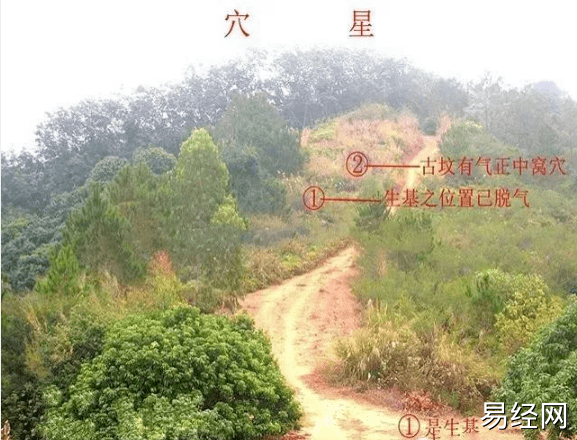 祖坟风水地_十大元帅祖坟的风水_许世友祖坟墓地风水图