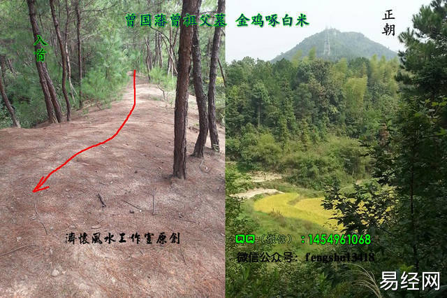 阴宅风水对人的影响_阴宅风水对后代的影响_阴宅风水知识