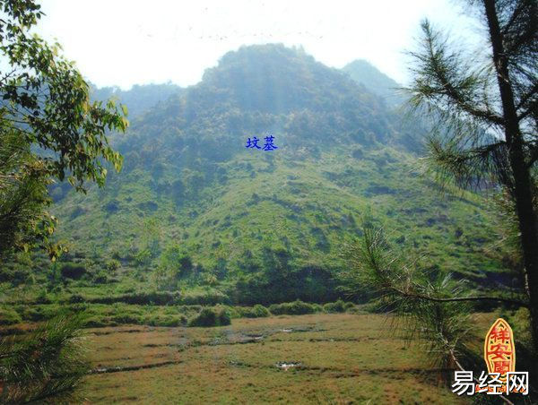 坟地风水好，整个家族都能兴旺！风水知识