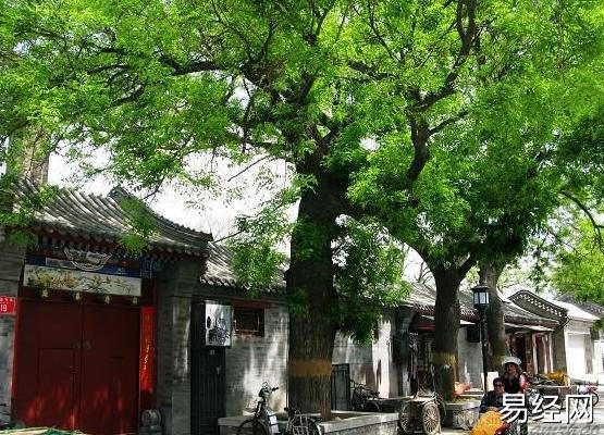 自建房别傻傻盖在这些地方，听老师傅一分析，才知家里盖错地方了