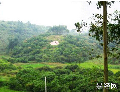 坟地风水如何看？风水的五大原则！你知道吗？