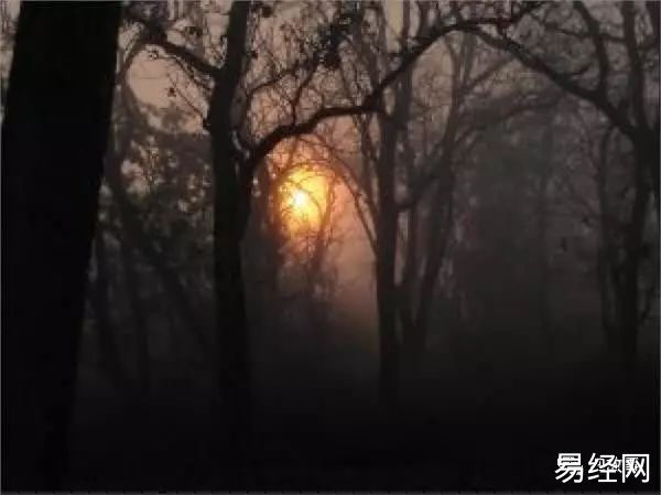 与其相忘于江湖，不如相识在故事1