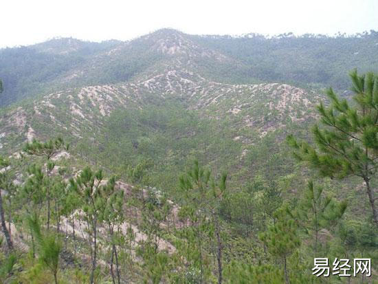 古人选择墓地考虑的因素有哪些？风水大师来支招