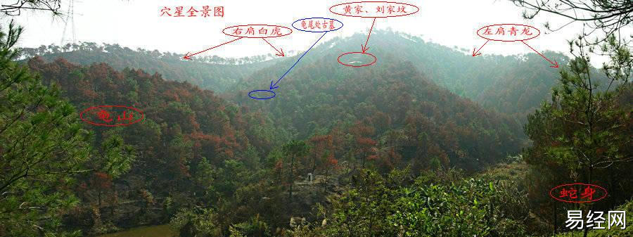 祖坟风水怎么看,好的阴宅祖坟有什么预兆？