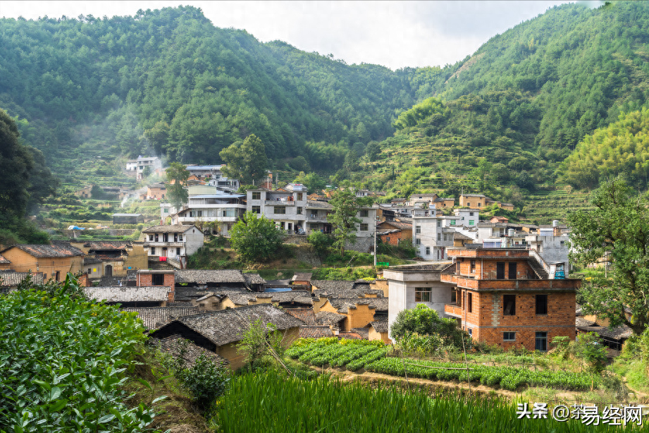 （茶人小谈）门前坟，屋后水，家财子不归