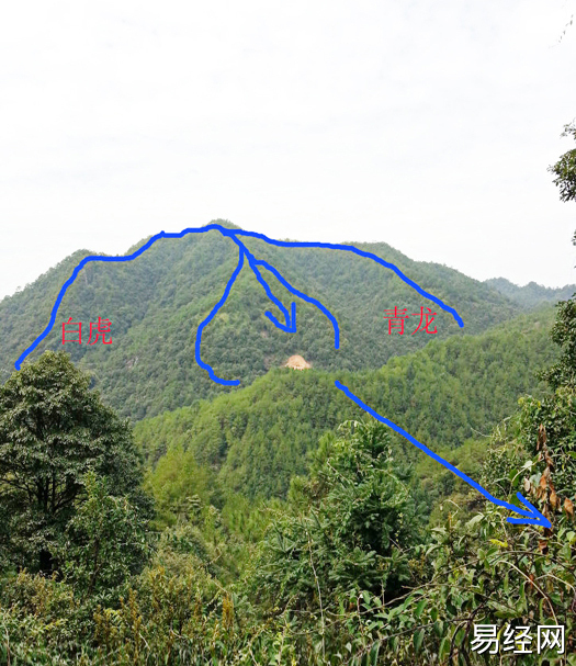 李嘉诚祖坟风水怎么样？阴阳术数|悟真网