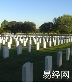 做梦进坟地