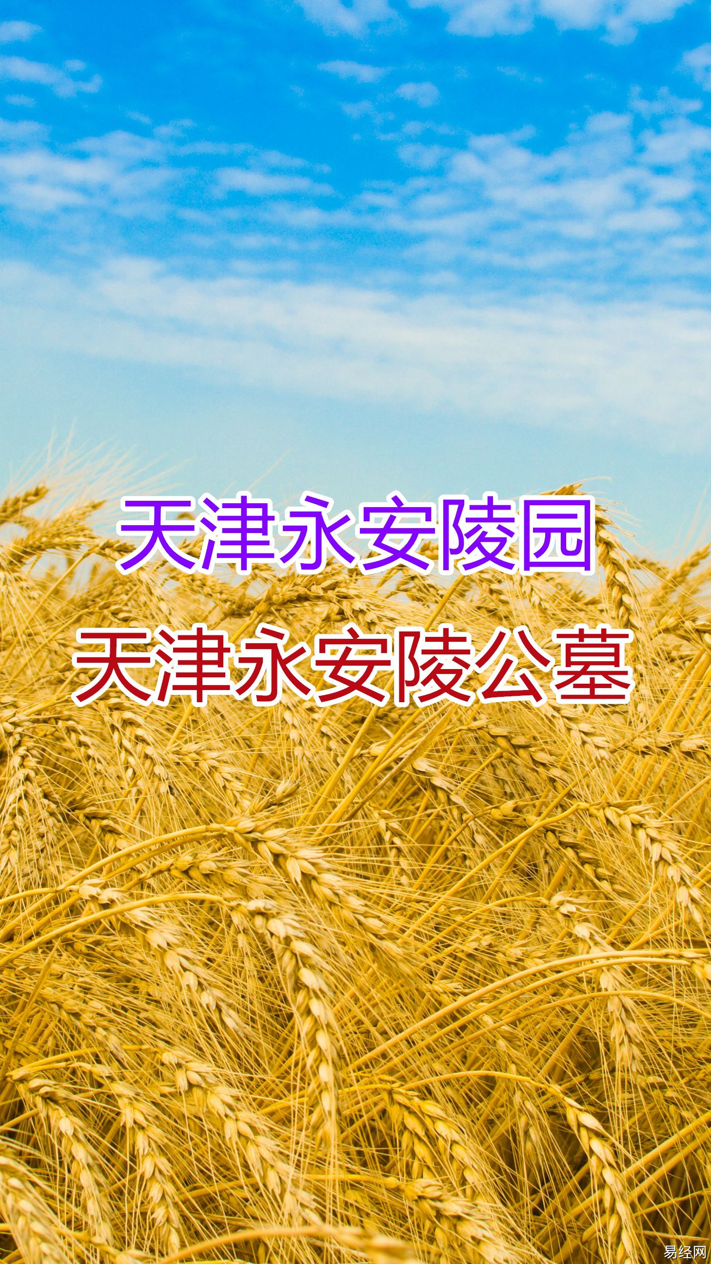 揭秘最好的墓地风水图解什么公共墓地最适合你