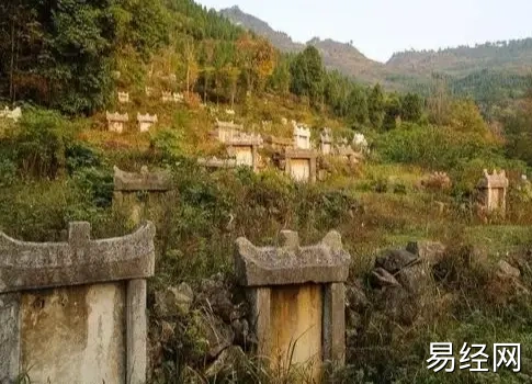 墓地风水学中坟地种花好吗？风水大师告诉你