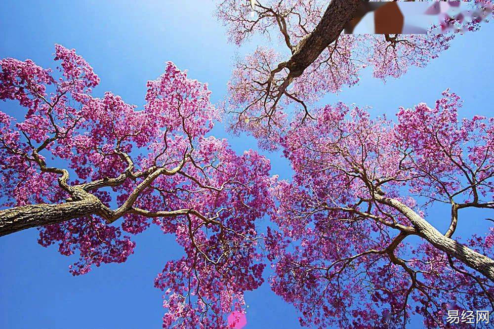 清明节和中元节要去上坟缅怀祖先，不就是祖先埋葬的地方吗？
