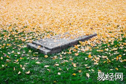 祖坟一般多少年出人才？算命网告诉你！