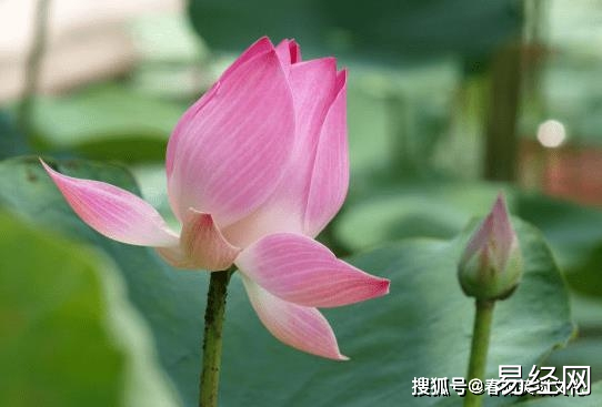 （李向东）祖坟有什么征兆出贵人，你知道吗？