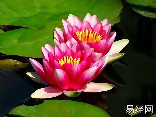 （李向东）祖坟有什么征兆出贵人，你知道吗？