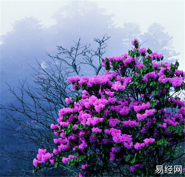 慈世堂：坟地风水是中国传统文化中的一个重要方面