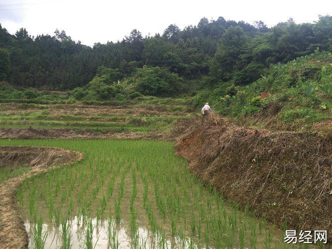 风水大师王君植贵州看风水，青龙吐珠穴，这家祖坟风水确实不一样