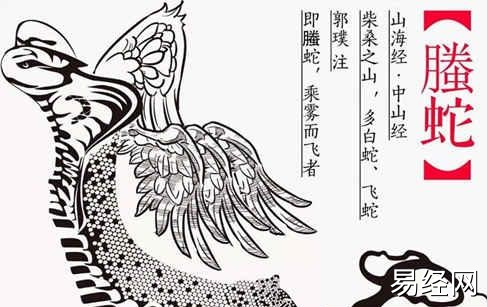 六神六兽临爻辨吉凶,父母爻临六神六兽如何?插图 六神六兽临爻辨吉凶,父母爻临六神六兽如何?插图