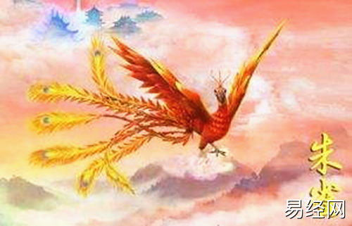六爻临朱雀类象详解,六爻朱雀代表含义插图 六爻临朱雀类象详解,六爻朱雀代表含义插图