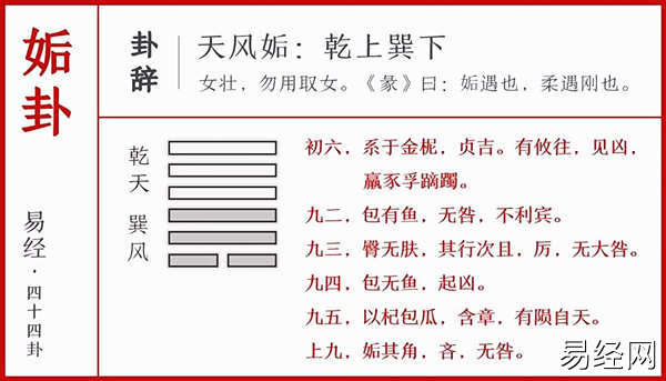 天风姤卦详解,六十四卦天风姤卦感情财运事业解析插图 天风姤卦详解,六十四卦天风姤卦感情财运事业解析插图