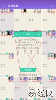 紫微斗数免费排盘在线查询