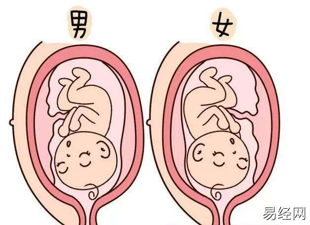 六爻法预测胎儿性别技巧,六爻测怀孕测孕期卦例(仅供参考)插图 六爻法预测胎儿性别技巧,六爻测怀孕测孕期卦例(仅供参考)插图