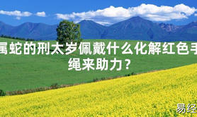 2024最新属蛇的刑太岁佩戴什么化解红色手绳来助力？【化解太岁】