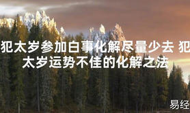 【太岁知识】犯太岁参加白事化解尽量少去 犯太岁运势不佳的化解之法,最新太岁