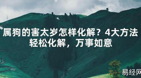 【2024太岁知识】属狗的害太岁怎样化解？4大方法轻松化解，万事如意,最新太岁