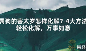 【2024太岁知识】属狗的害太岁怎样化解？4大方法轻松化解，万事如意,最新太岁