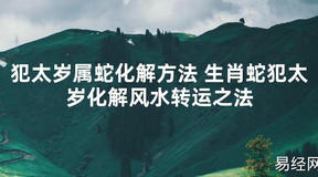 【太岁知识】犯太岁属蛇化解方法 生肖蛇犯太岁化解风水转运之法,最新太岁