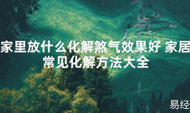 【2024最新风水】家里放什么化解煞气效果好 家居常见化解方法大全【好运风水】