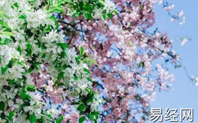 【2024八字预测】八字桃花的查法，命带桃花的特点,最新八字