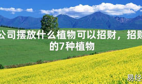 [最新2024风水]公司摆放什么植物可以招财，招财的7种植物【易经网推荐】