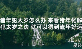 【太岁知识】猪年犯太岁怎么办 来看猪年化解犯太岁之法 就可以得到流年好运,最新太岁