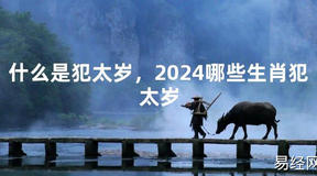 2024最新什么是犯太岁，2024哪些生肖犯太岁【化解太岁】