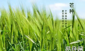 【最新姓名】2024年芒种节气出生的男孩五行缺木起名，芒种出生命运怎么样？【2024姓名学】