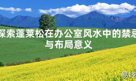 【易经推荐】探索蓬莱松在办公室风水中的禁忌与布局意义【2024风水】