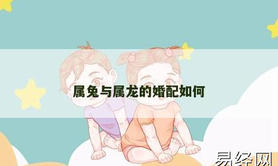 【属龙】属兔与属龙的婚配如何,2024生肖龙