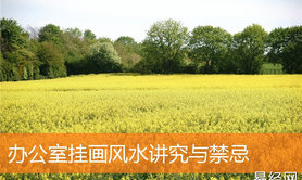 ,最新风水办公室挂画风水讲究与禁忌【办公室风水】