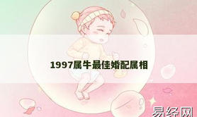 【属牛】1997属牛最佳婚配属相,2024生肖牛