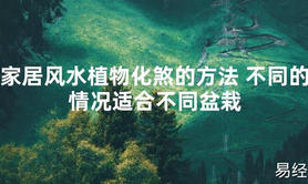 2024最新风水,家居风水植物化煞的方法 不同的情况适合不同盆栽【易经风水好运】