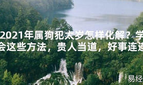 【2024太岁知识】2021年属狗犯太岁怎样化解？学会这些方法，贵人当道，好事连连,最新太岁