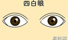 面相推荐,四白眼人财运怎么样?,2024面相