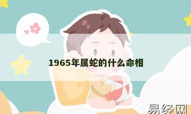 【属龙】1965年属蛇的什么命相,2024生肖龙