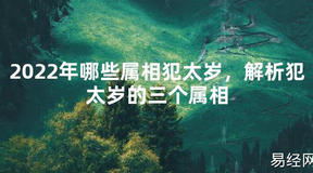 【太岁】2024年哪些属相犯太岁，解析犯太岁的三个属相最新